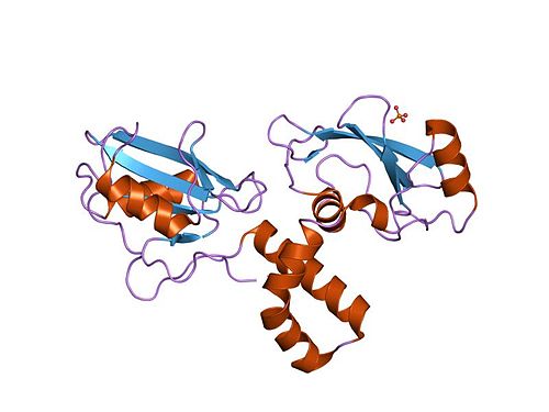 Tyrosine kinase